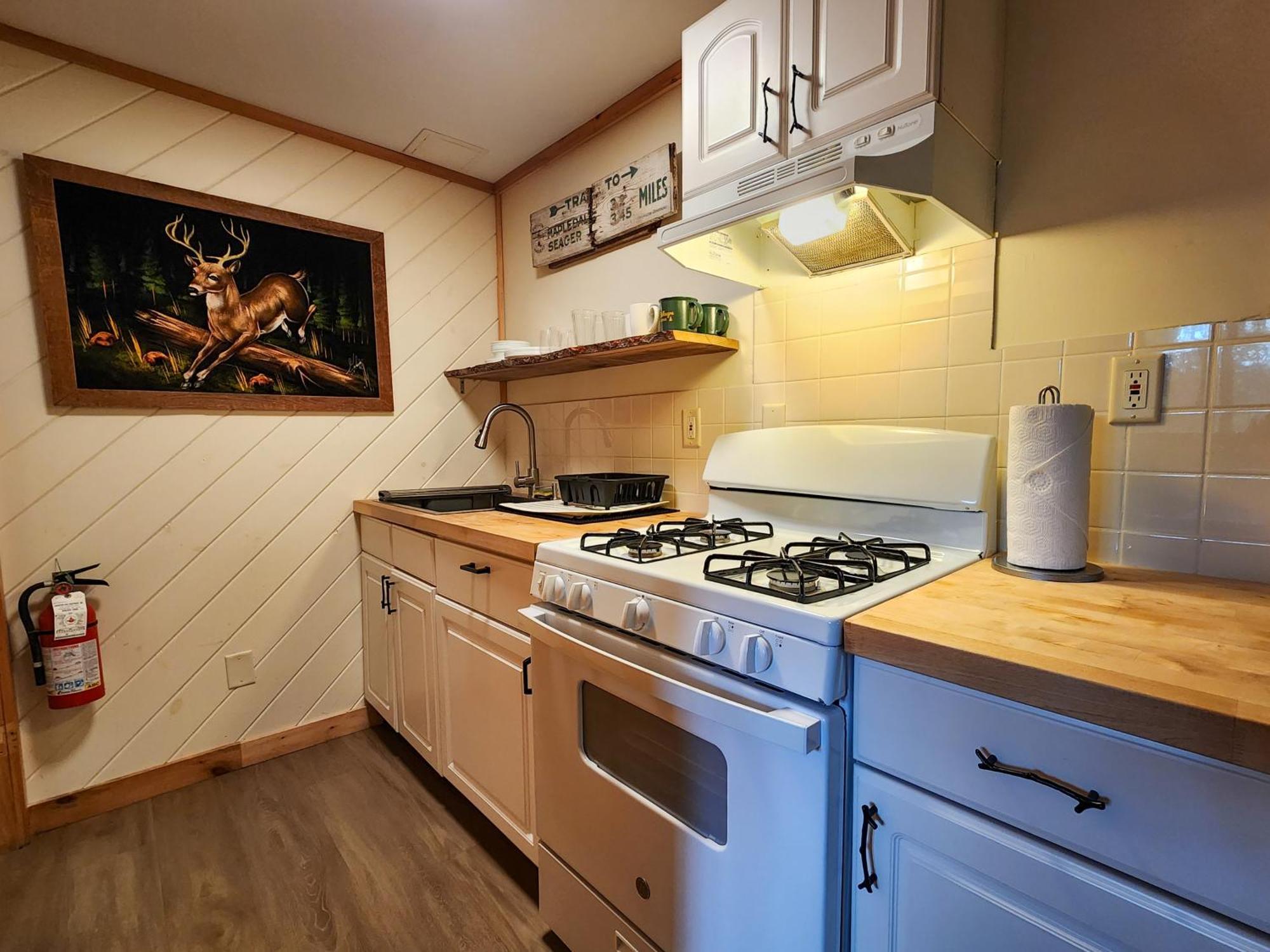 Belleayre Lodge Pine Hill Habitación foto